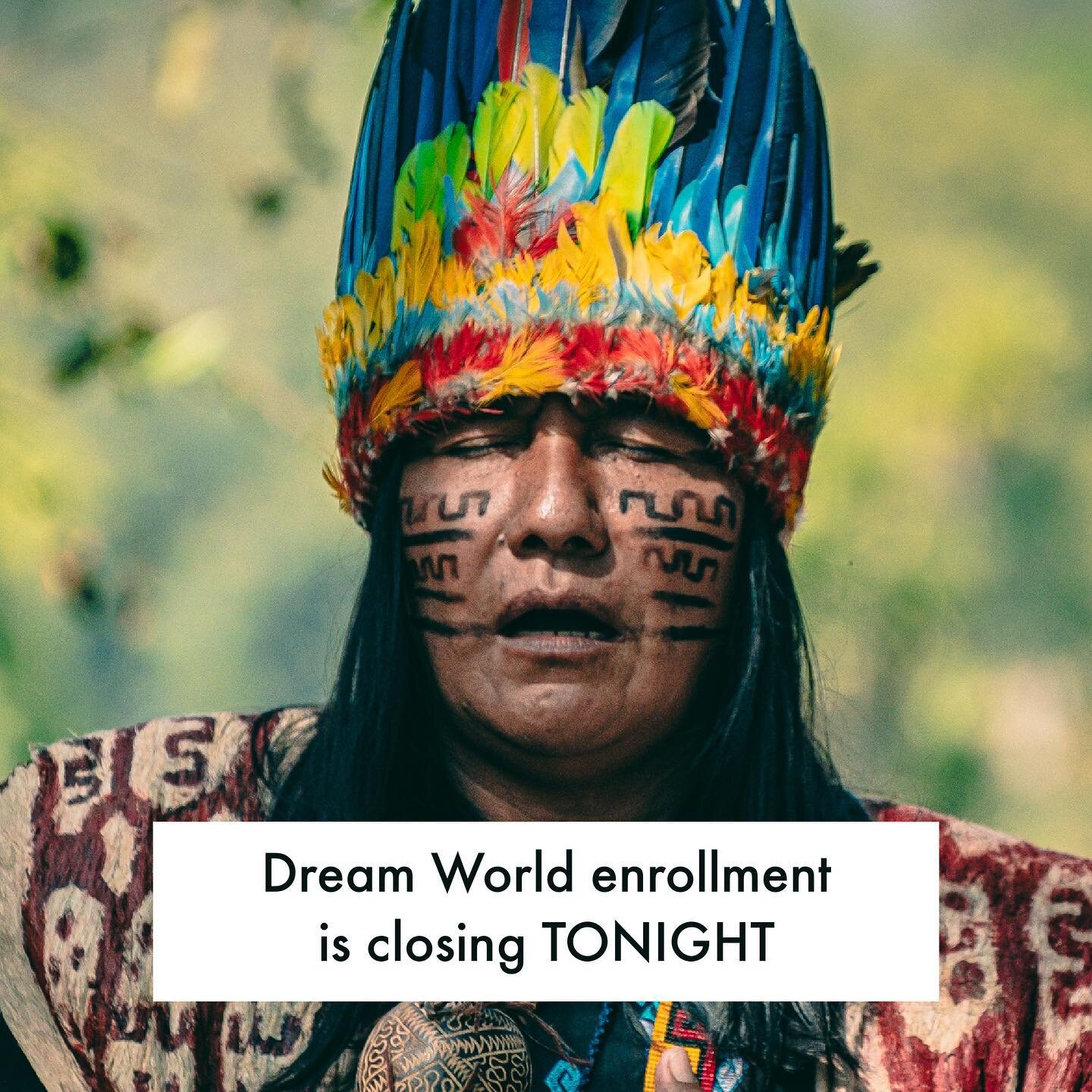 💫 LAST OPPORTUNITY TO JOIN US 💫
In just a few hours (at 11:59pm EST to be exact), the doors to&nbsp;@dreamworldprogram close and will likely not open again until the summer.
&nbsp;
If you've been considering joining Dream World, take this message 